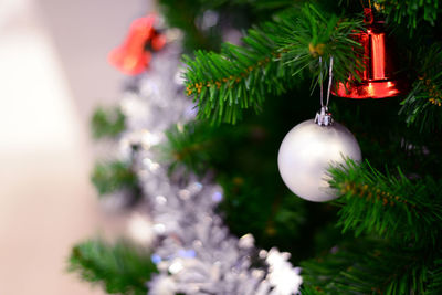 Close-up of christmas decoration hanging on tree