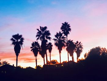 Silhouette palm trees against sky during sunset