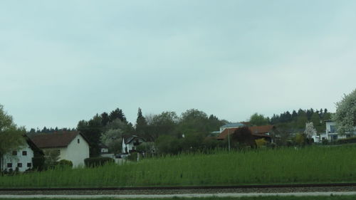 Houses by agricultural field against clear sky