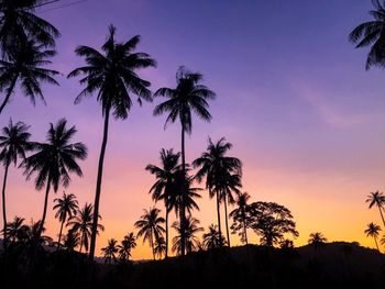 Low angle view of silhouette palm trees against romantic sky