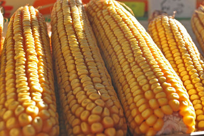 Close-up of yellow for sale in market