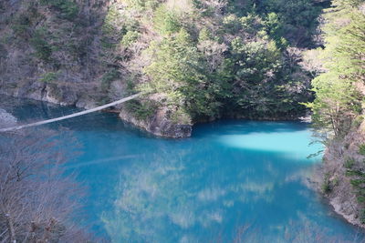 High angle view of trees by lake in forest