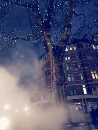 Low angle view of illuminated tree at night