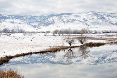 Close-up of snow on landscape against sky