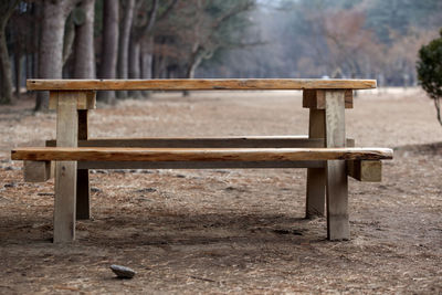 Wooden bench on grassy field