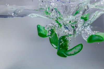 Close-up of water drops on ice over white background