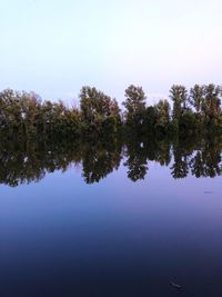 Reflection of trees in lake against clear blue sky