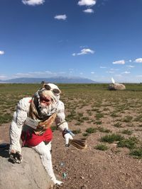 View of dog on field against sky