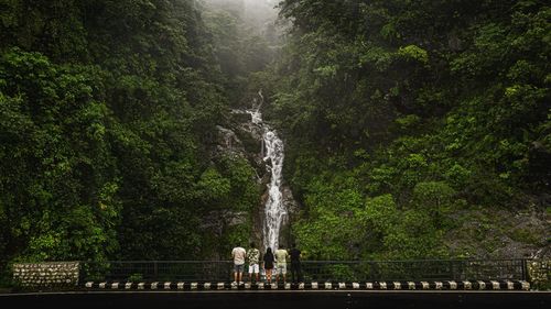 Scenic view of waterfall against trees in forest