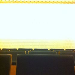 Close-up of yellow flowers