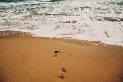 High angle view of footprints on beach