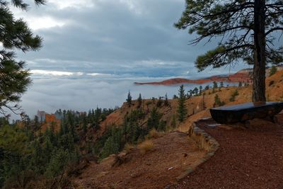 Scenic view of tree mountains against sky