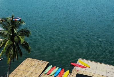 High angle view of palm tree by sea