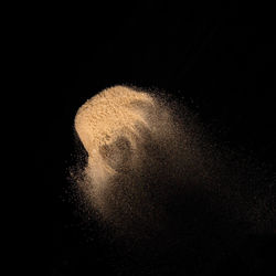 Close-up of jellyfish in water against black background