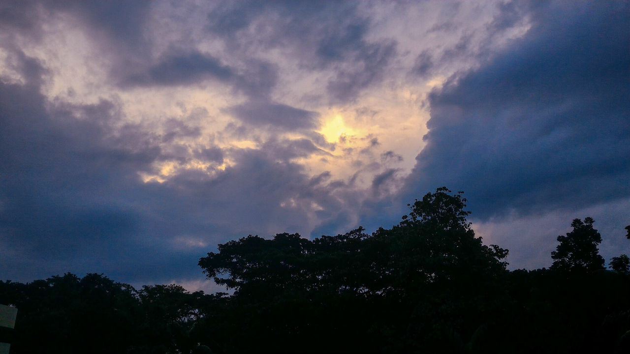 tree, sky, silhouette, cloud - sky, beauty in nature, tranquility, low angle view, scenics, tranquil scene, nature, cloudy, cloud, sunset, growth, idyllic, weather, outdoors, no people, dusk, dramatic sky