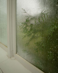 Close-up of wet window of house