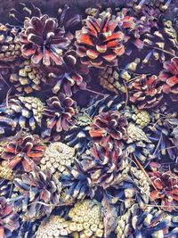 High angle view of dry leaves on land