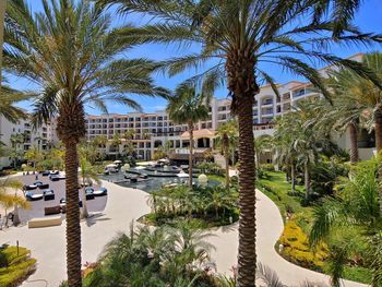 Palm trees by swimming pool in building