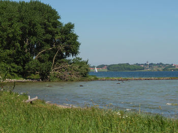 Scenic view of lake against clear sky