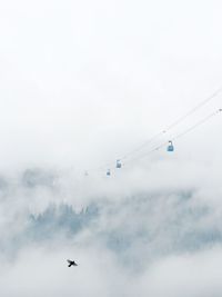 Low angle view of airplane flying in sky