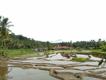 Scenic view of landscape against clear sky