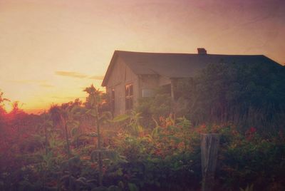 Houses at sunset