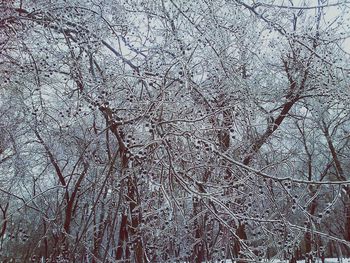 Full frame shot of white background