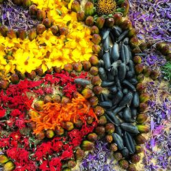 Full frame shot of flowers