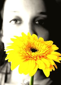 Close-up portrait of a yellow flower