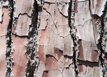 Full frame shot of weathered wall