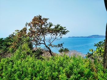 Scenic view of sea against clear sky