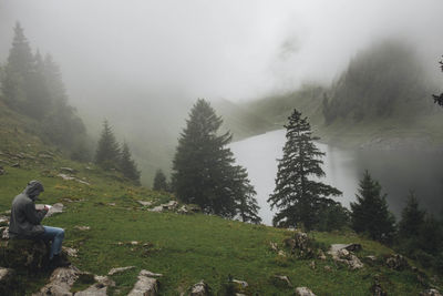 Panoramic shot of trees on land against sky