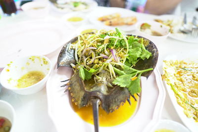 Close-up of food served in plate