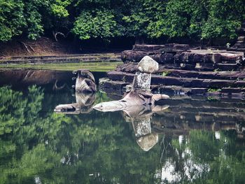 Reflection of tree on a lake