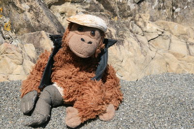 Close-up of monkey on rock