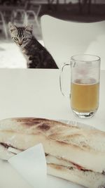 Close-up of cat on table