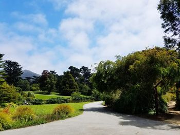 Road amidst trees against sky