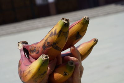 Close-up of bananas