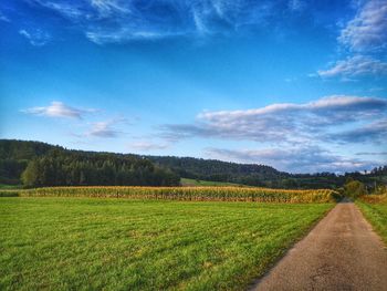 Scenic view of agricultural field against sky