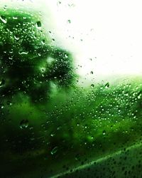 Full frame shot of wet glass window