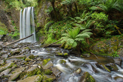 Scenic view of waterfall