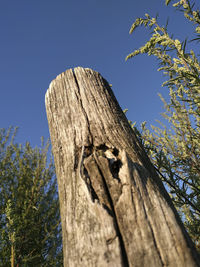 Low angle view of wooden post against clear blue sky