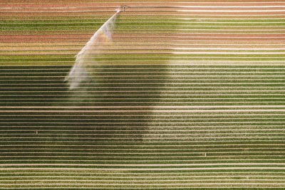 Full frame shot of water on land