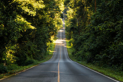 Empty road amidst trees at forest