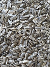 Full frame shot of sunflower seeds