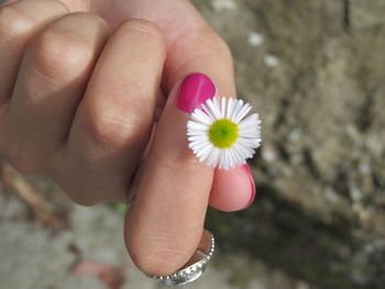 Close-up of cropped hand holding flower