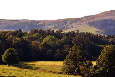 Scenic view of mountains against clear sky