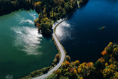 High angle view of river amidst trees in forest