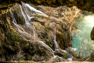 Close-up of waterfall in forest