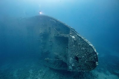 Portrait of salem express